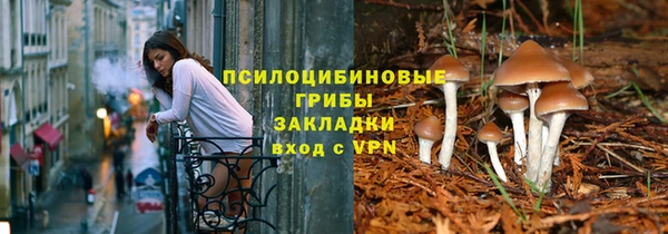 винт Горно-Алтайск